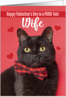 Happy Valentine’s Day Wife Cute Cat in Bow Tie Humor card