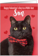 Happy Valentine’s Day Son Cute Cat in Bow Tie Humor card
