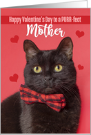 Happy Valentine’s Day Mother Cute Cat in Bow Tie Humor card