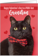 Happy Valentine’s Day Grandson Cute Cat in Bow Tie Humor card