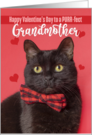 Happy Valentine’s Day Grandmother Cute Cat in Bow Tie Humor card
