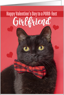 Happy Valentine’s Day Girlfriend Cute Cat in Bow Tie Humor card