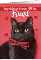 Happy Valentine’s Day Friend Cute Cat in Bow Tie Humor card