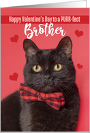 Happy Valentine’s Day Brother Cute Cat in Bow Tie Humor card