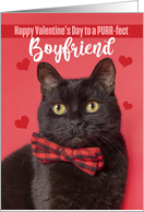 Happy Valentine’s Day Boyfriend Cute Cat in Bow Tie Humor card