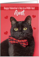 Happy Valentine’s Day Aunt Cute Cat in Bow Tie Humor card