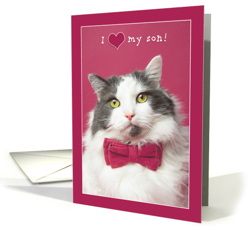 Happy Valentine's Day Son Cute Cat in Pink Bow Tie Humor card