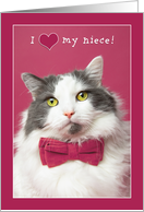 Happy Valentine’s Day Niece Cute Cat in Pink Bow Tie Humor card