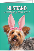 Happy Easter Husband Cute Yorkie Dog in Bunny Ears Humor card