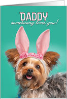Happy Easter For Daddy Cute Yorkie Dog in Bunny Ears Humor card