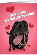 Thank You For Volunteering Animal Shelter Cute Lab Dog Photograph card