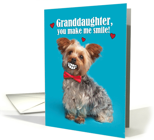 Happy Valentine's Day Granddaughter Funny Yorkie Dog With Smile card