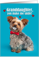 Happy Valentine’s Day Granddaughter Funny Yorkie Dog With Smile card