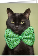 Happy St. Patrick’s Day For Anyone Cute Black Cat in Green Bow Tie card
