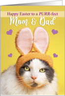 Happy Easter Mom and Dad Cute Cat in Bunny Ears Humor card