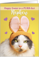 Happy Easter Nephew Cute Cat in Bunny Ears Humor card
