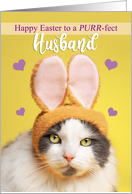 Happy Easter Husband Cute Cat in Bunny Ears Humor card