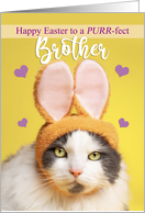 Happy Easter Brother Cute Cat in Bunny Ears Humor card