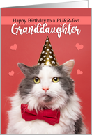 Happy Birthday Day Granddaughter Cute Black Cat in Green Bow Tie card