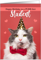 Happy Birthday Student Cute Cat in Party Hat and Bow Tie Humor card