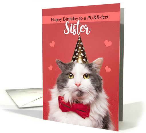 Happy Birthday Sister Cute Cat in Party Hat and Bow Tie Humor card