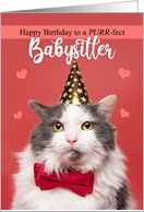 Happy Birthday Babysitter Cat in Party Hat and Bow Tie Humor card