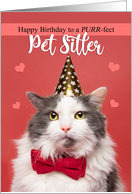 Happy Birthday Pet Sitter Cat in Party Hat and Bow Tie Humor card