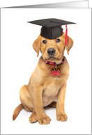 Congratulations on Graduating Dog Obedience School Puppy in Grad Cap card