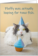 Happy Birthday For Anyone Cat With Hat and Cupcake Humor card