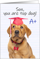 Congratulations Graduate Son Cute Puppy in Grad Hat Humor card