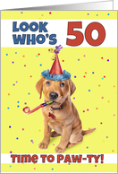 Happy 50th Birthday Cute Puppy in Party Hat Humor card