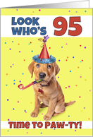 Happy 95th Birthday Cute Puppy in Party Hat Humor card