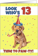 Happy 13th Birthday Cute Puppy in Party Hat Humor card