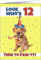 Happy 12th Birthday Cute Puppy in Party Hat Humor card