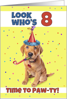 Happy 8th Birthday Cute Puppy in Party Hat Humor card