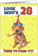 Happy 28th Birthday Cute Puppy in Party Hat Humor card