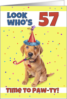 Happy 57th Birthday Cute Puppy in Party Hat Humor card