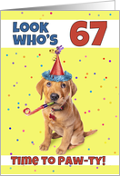 Happy 67th Birthday Cute Puppy in Party Hat Humor card