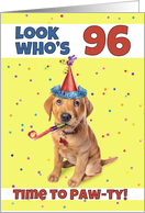 Happy 96th Birthday Cute Puppy in Party Hat Humor card