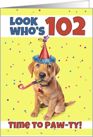 Happy 102nd Birthday Cute Puppy in Party Hat Humor card