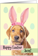 Happy Easter Son Cute Puppy in Bunny Ears Humor card