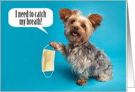 Thinking of You Yorkie Dog Holding Face Mask Coronavirus Humor card