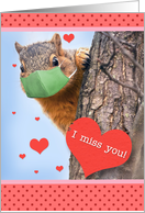 I Miss You Squirrel...