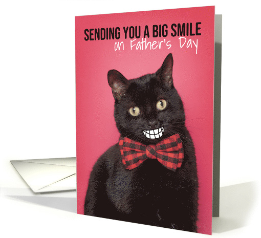 Happy Father's Day Cat With Big Smile Humor card (1616938)