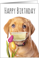 Happy Birthday Puppy in Face Mask Coronavirus Humor card