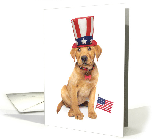 Happy Flag Day Cute Patriotic Puppy card (1625162)