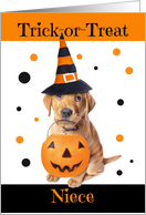 Happy Halloween Niece Cute Puppy in Costume Humor card