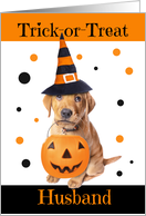 Happy Halloween Husband Cute Puppy in Costume Humor card