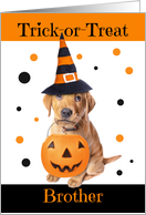 Happy Halloween Brother Cute Puppy in Costume Humor card