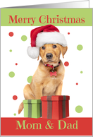 Merry Christmas Parents Cute Lab Puppy in Santa Hat Humor card